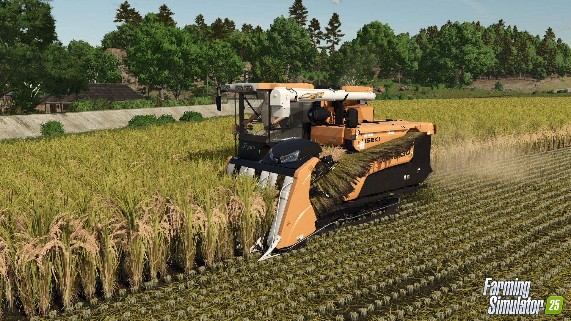 Farming Simulator 25 - Rice/Reis