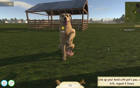Animal Trainer Simulator